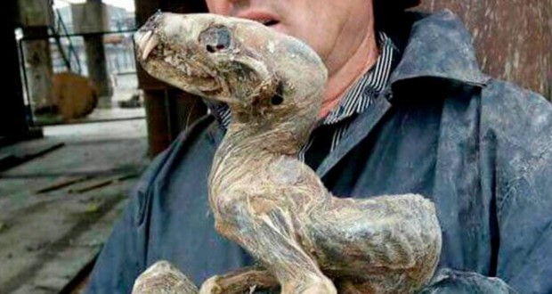 'Monstro mumificado' foi achado em mina de diamantes na Sibéria (Foto: Reprodução/Facebook/Shipwreckhunter)