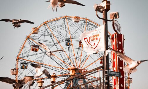 Flock of birds flying