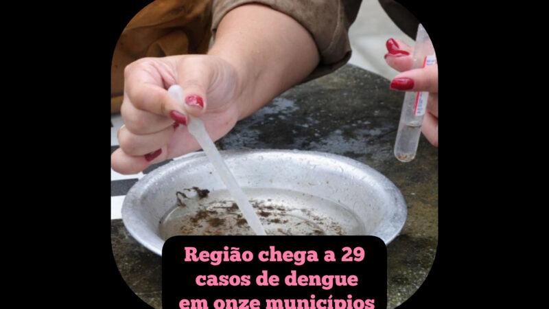 Região chega a 29 casos de dengue em onze municípios