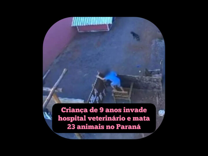 Criança de 9 anos invade hospital veterinário e mata 23 animais no Paraná