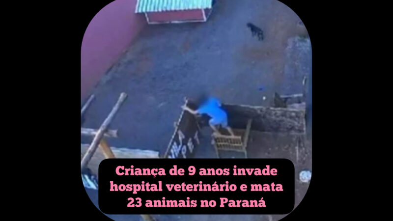 Criança de 9 anos invade hospital veterinário e mata 23 animais no Paraná