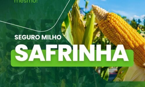 Safrinha