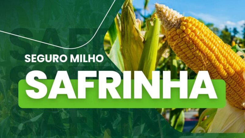 Contrate o Seguro de Milho Safrinha da Luxon é + Seguro e fique tranquilo