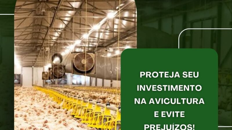 Sua estrutura para aviários merece toda a segurança contra imprevistos