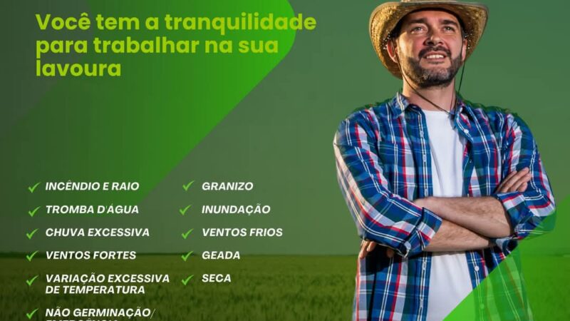 Seguro Agrícola Multirrisco: Você tem a tranquilidade para trabalhar na sua lavoura