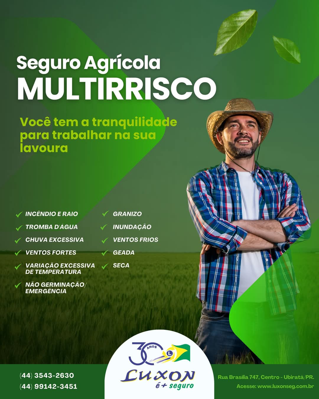 Seguro Agrícola Multirrisco: Você tem a tranquilidade para trabalhar na sua lavoura