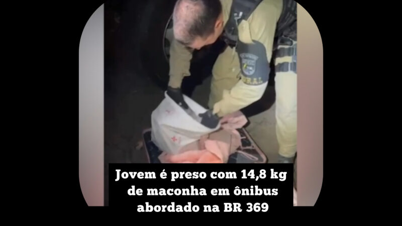 Jovem é preso com 14,8 kg de maconha em ônibus abordado na BR 369