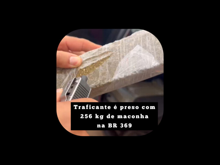 Traficante é preso com 256 kg de maconha na BR 369