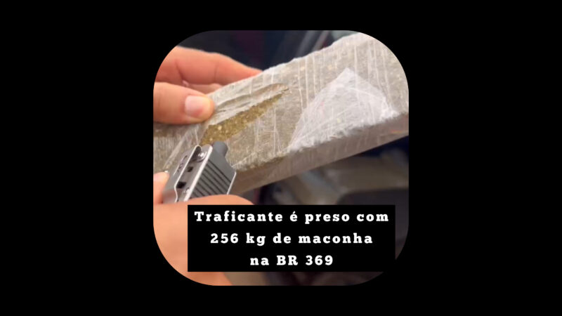 Traficante é preso com 256 kg de maconha na BR 369