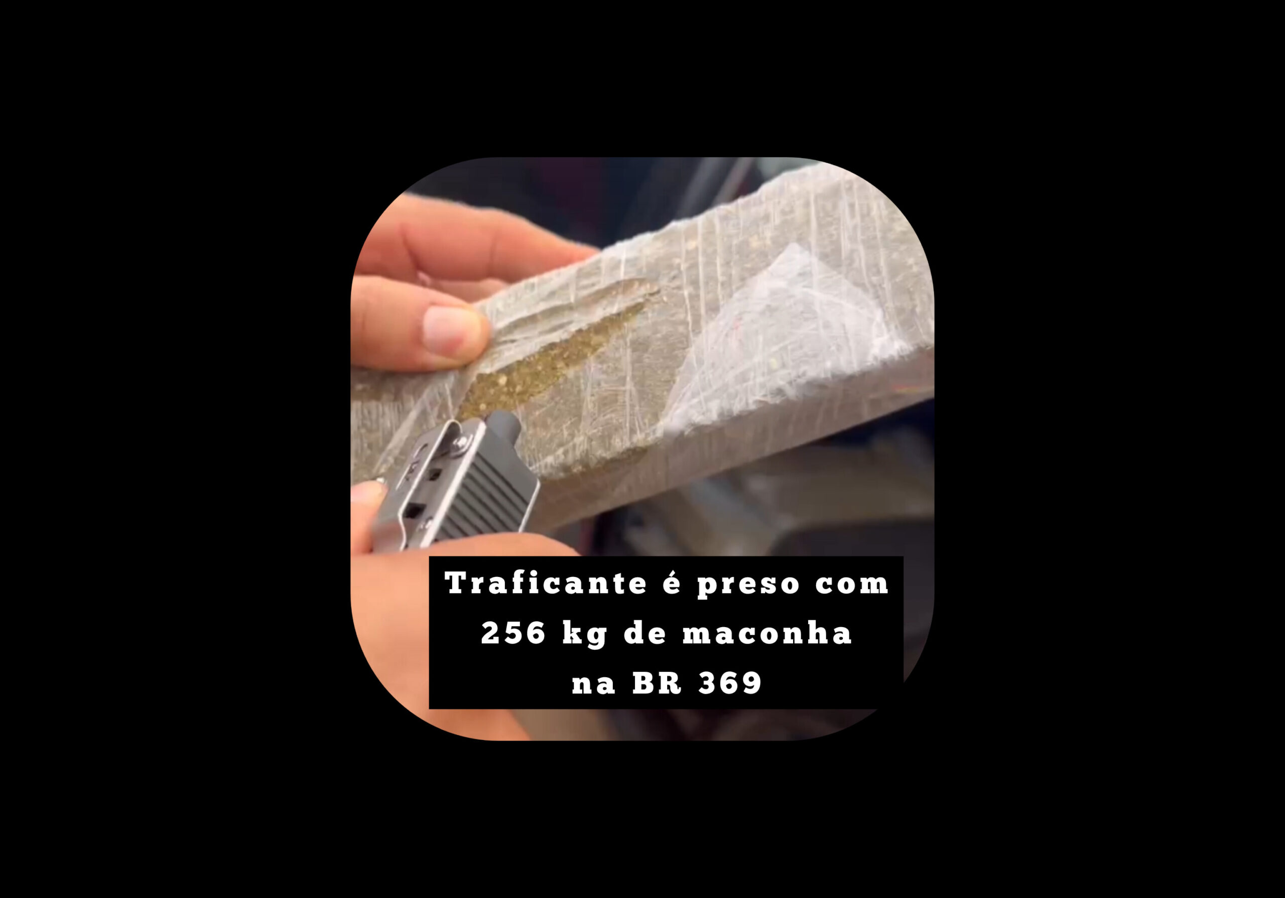 Traficante é preso com 256 kg de maconha na BR 369