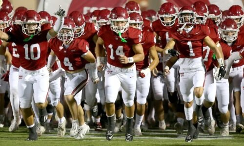 Alabama high school football:AHSAA announces public, private school football split: Here's what's happening next year