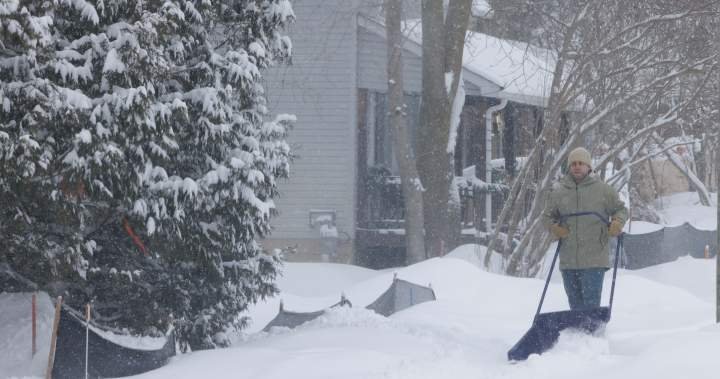 Blizzard, snow squall warnings in place for parts of Ontario