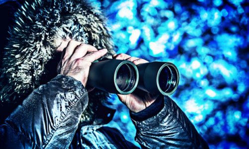 GEV Q4 Earnings on the Deck: How to Approach the Stock Now? - January 27, 2026