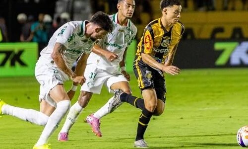 Piquerez e Riquelme Fillipi perseguem Tavinho na partida entre Novorizontino x Palmeiras