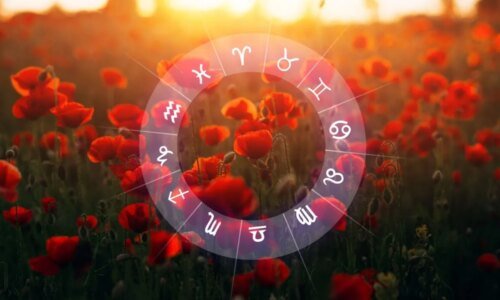 Horóscopo do dia: previsão para os 12 signos em 31/01/2026