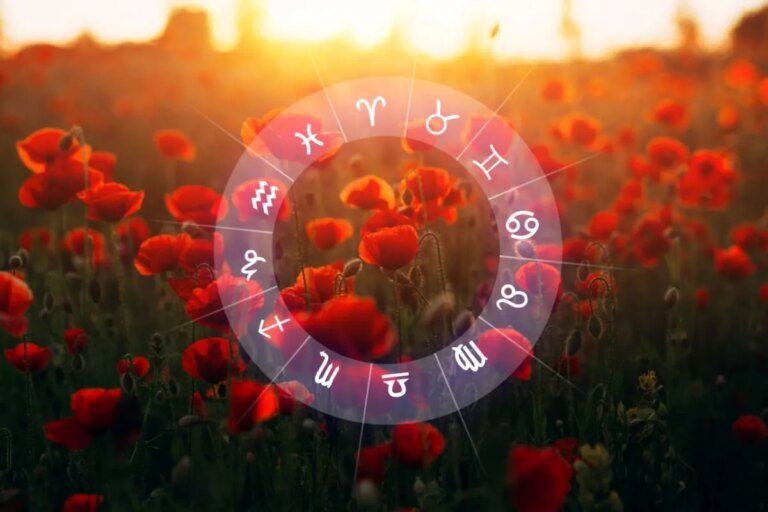 Horóscopo do dia: previsão para os 12 signos em 31/01/2026