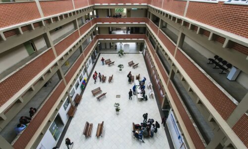 Lei que proíbe cotas raciais em Santa Catarina é suspensa