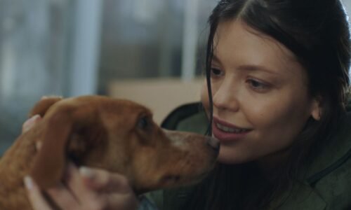 Vitória Strada ressurge no BBB 26 com filme inspirado em enchente do RS · Notícias da TV