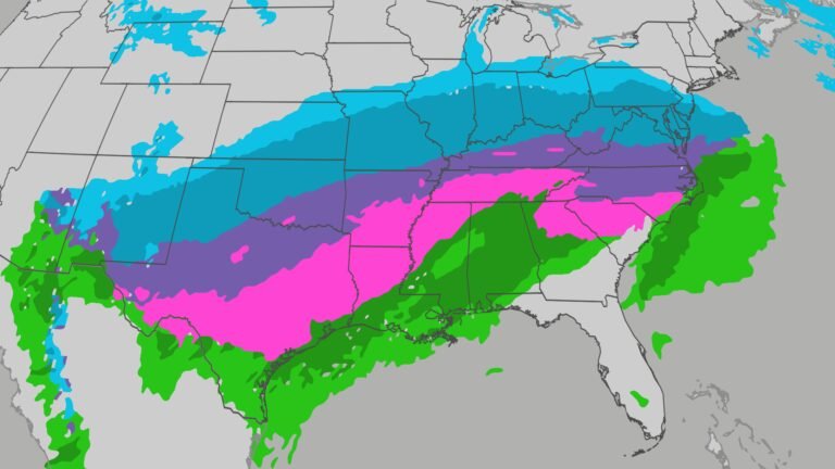 Georgia Org