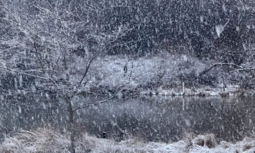 2-6 inches of snow expected in DC area; school delays possible – NBC4 Washington