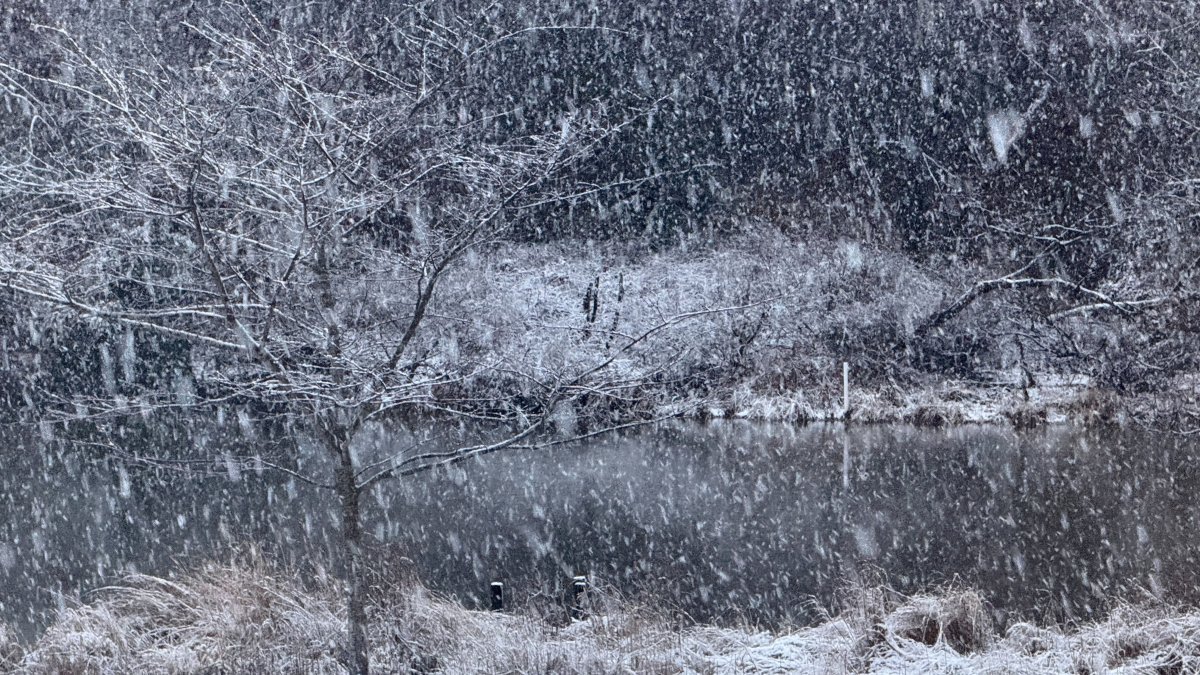 2-6 inches of snow expected in DC area; school delays possible – NBC4 Washington