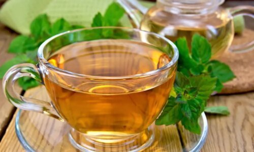 8 soluções naturais para melhorar a digestão e reduzir desconfortos