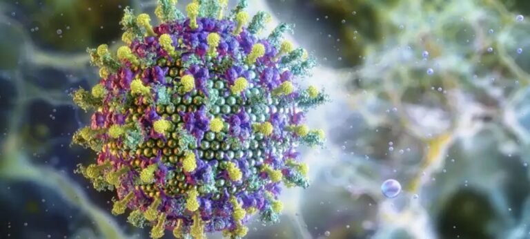 Animal que ultrapassa 1,80m é o principal portador do Vírus Nipah