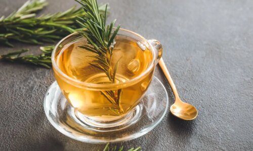 Benefícios do chá de alecrim: 6 receitas para melhorar a saúde