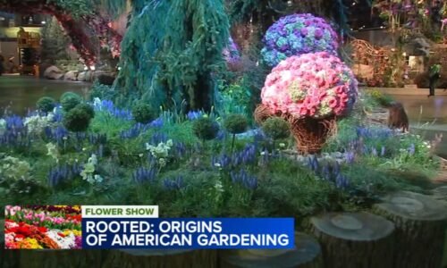 Burst of vibrant blooms as 2026 Philadelphia Flower Show opens to visitors
