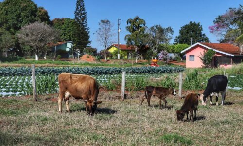 CEP Rural vai criar endereço digital para propriedades no Paraná
