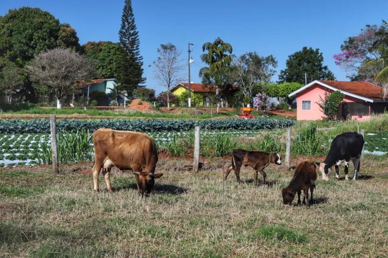 CEP Rural vai criar endereço digital para propriedades no Paraná