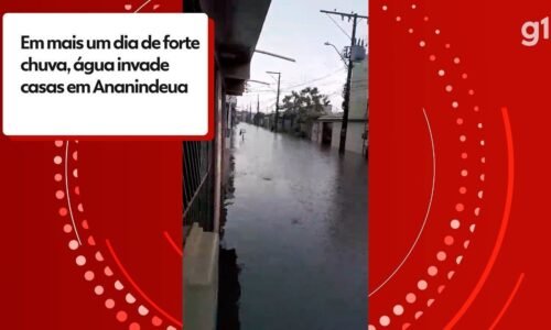 Chuva na Grande Belém: casas e animais são atingidos por alagamentos