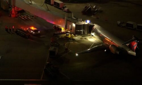 Delta flight makes emergency landing after pilot says a passenger wanted to access the cockpit