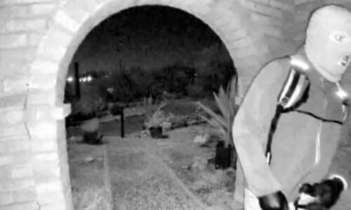 February 10, 2026 - Nancy Guthrie case