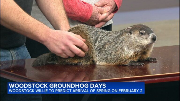 Groundhog Day 2026: Did Woodstock Willie see his shadow on Groundhog Day?