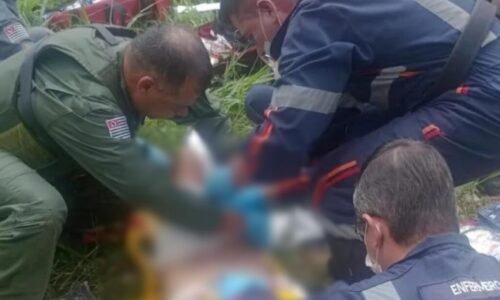 Idosa tem três membros amputados após ataque de pitbulls