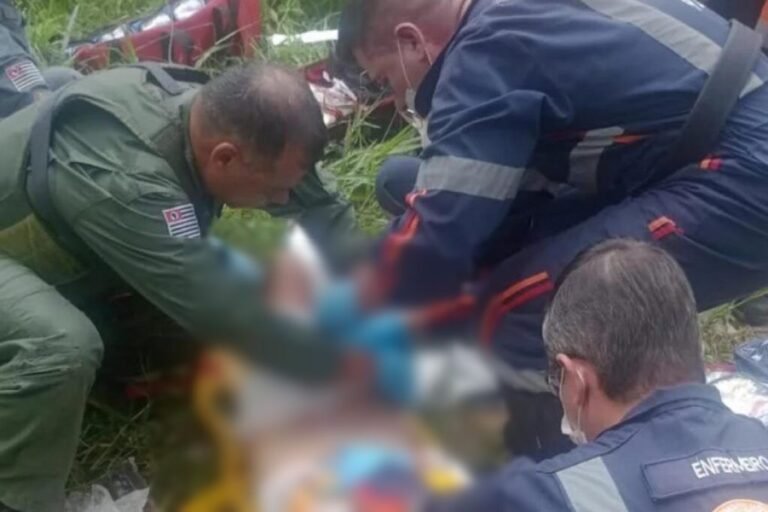 Idosa tem três membros amputados após ataque de pitbulls