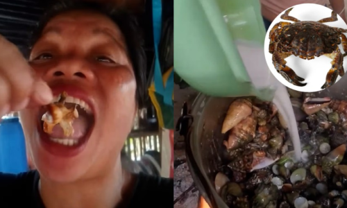 Influenciadora de comida morre nas Filipinas após consumir caranguejo tóxico para vídeo