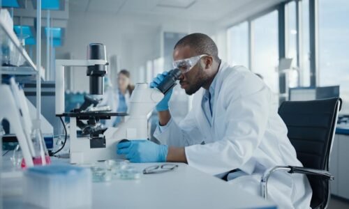 Is Novo Nordisk Stock a Bargain Right Now?