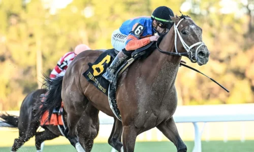 Kentucky Derby Betting Alert: Is Renegade the New Leader of the Pletcher Barn?