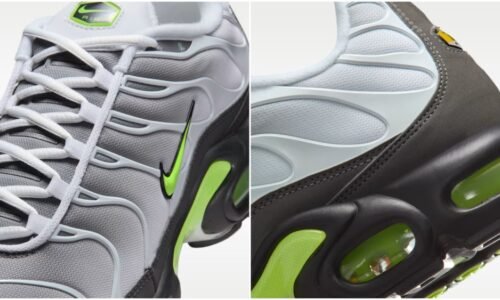 Nike Air Max Plus sneakers