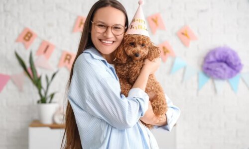 Qual tipo de tutor é você? Descubra como é a sua relação com o seu animal de estimação 