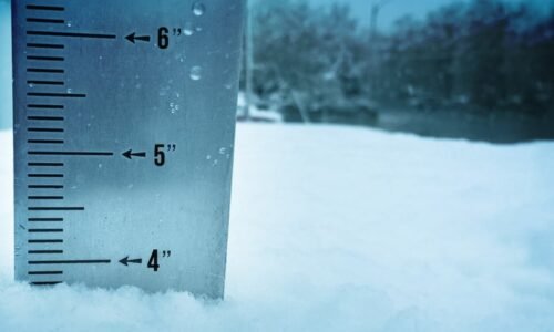 Snowfall totals: February 19-20, 2026