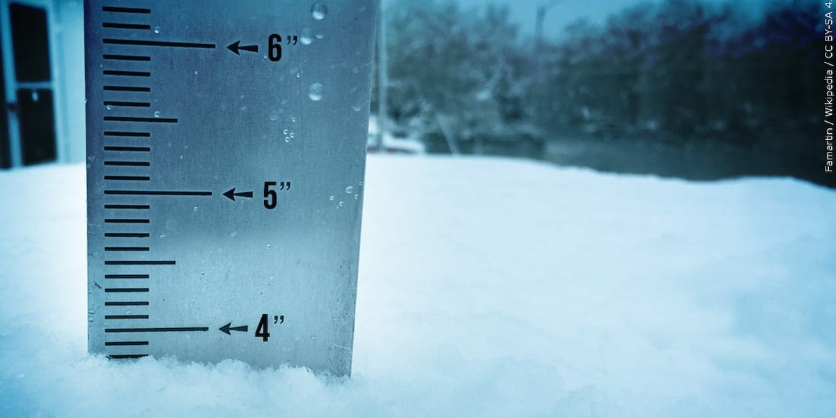 Snowfall totals: February 19-20, 2026