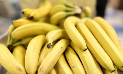 Tipos de banana: conheça 5 variedades e como usá-las em receitas doces e salgadas