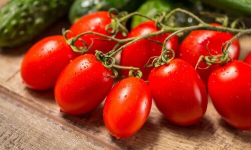 Tomate: benefícios para a saúde e dicas para incluir na dieta