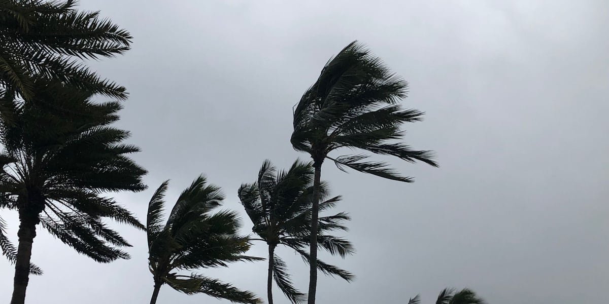 Weekend cancellations and closures due to severe weather
