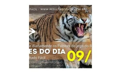 jogo do bicho palpite certeiro