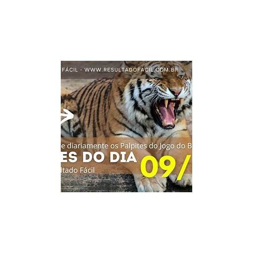 jogo do bicho palpite certeiro