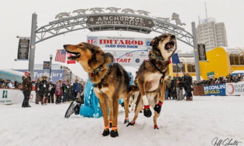 54th Ceremonial Start, Field and Trail – Iditarod